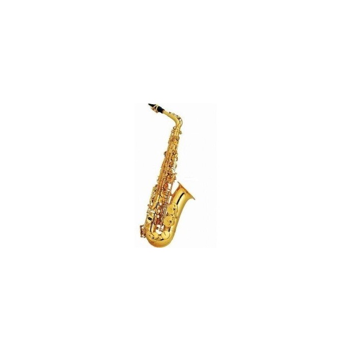 ALTO SAXOPHONE WITH SOFT CASE